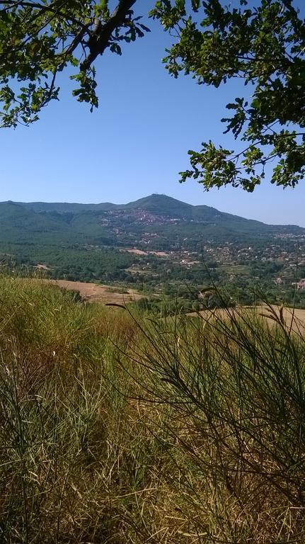B&B Il Pantanello Рока ди Папа Екстериор снимка