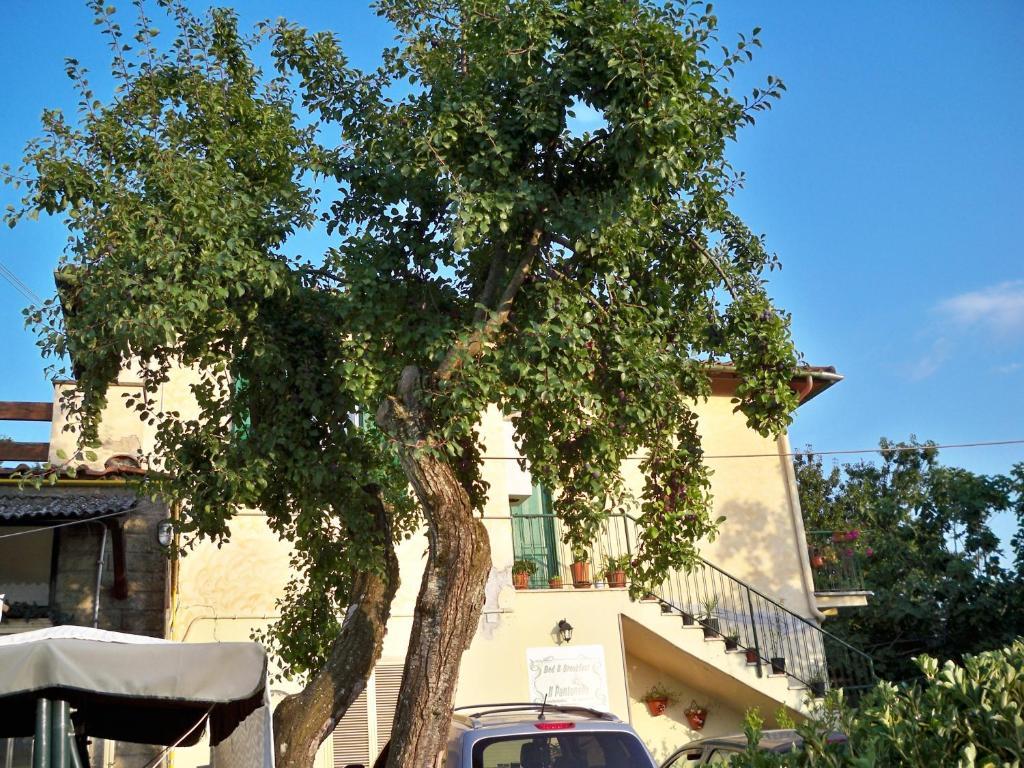 B&B Il Pantanello Рока ди Папа Екстериор снимка